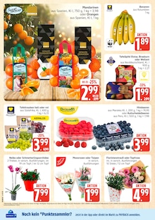 Zimmerpflanzen im Marktkauf Prospekt "Top Angebote" mit 40 Seiten (Hamburg)