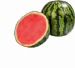 Wassermelone bei Netto Marken-Discount im Prospekt "" für 1,59 €