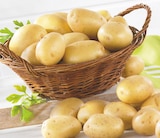 Bi1 Troyes - Promo Pomme de terre de consommation lavée Promo Pomme de terre de consommation lavée à 1,99 € dans le catalogue Bi1 à Troyes