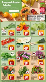 Paprika im REWE Prospekt in Esslingen Aktueller REWE Prospekt mit Paprika, "Dein Markt", Seite 7