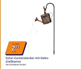 Solar-Gartenstecker mit Deko-Gießkanne Angebote bei Action Frankfurt für 2,77 €