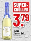 Aktuelles Sekt Angebot bei Trinkgut in Mainz ab 3,79 €