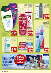 Katzenfutter im EDEKA Prospekt in Rheine Aktueller EDEKA Prospekt mit Katzenfutter, "Aktuelle Angebote", Seite 24
