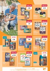 Aktueller ZooRoyal Prospekt mit Geflügel, "WIR FEIERN DEN WELT-KATZENTAG!", Seite 2