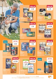 Huhn im ZooRoyal Prospekt "WIR FEIERN DEN WELT-KATZENTAG!" mit 8 Seiten (Düsseldorf)