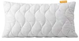 Aktuelle Kissen Angebote bei Lidl in Münster Aktuelles Aloe Vera-Kissen ca. 40 x 80 cm Angebot bei Lidl in Münster ab 9,99 €