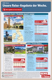 Ähnliche Kunstrasen Angebote im Prospekt "Dein Markt" von REWE in Euskirchen Ähnliche Angebote wie Kunstrasen im Prospekt "Dein Markt" auf Seite 31 von REWE in Euskirchen