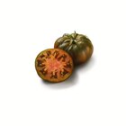 Gestreifte Premium Tomaten Angebote bei Lidl Wunstorf für 1,99 €