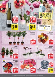 Erdbeeren im E center Prospekt in Suhl Aktueller E center Prospekt mit Erdbeeren, "Wir lieben Lebensmittel!", Seite 6