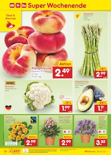 Orchidee im aktuellen Netto Marken-Discount Prospekt (Dortmund) Orchidee im Netto Marken-Discount Prospekt "Aktuelle Angebote" mit 63 Seiten (Dortmund)