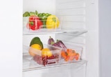 Kühlschrank-Organizer im Angebot bei Lidl in Seevetal Kühlschrank-Organizer Angebote von Ernesto bei Lidl Seevetal für 2,69 €