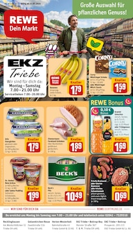 REWE Prospekt "Dein Markt" mit  Seiten (Recklinghausen)