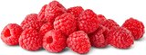 Penny Thum - Deutsche Himbeeren Angebot im Prospekt Deutsche Himbeeren bei Penny im Thum Prospekt für 1,69 €