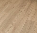 Laminat Evoke Angebote bei toom Baumarkt Bautzen für 6,99 €