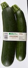 Bio Zucchini Angebote von REWE Bio bei REWE Heidelberg für 1,69 €