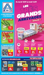 Prospectus Discount Alimentaire de Aldi à Herblay: "Les très grands arrivages", 27 pages, 10/09/2024 - 16/09/2024