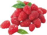 Bio Himbeeren Angebote von Rewe Bio bei REWE Rüsselsheim für 3,33 €