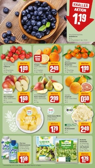 Erdbeeren im REWE Prospekt "Dein Markt" mit 32 Seiten (Stuttgart)