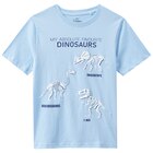 Aktuelles Jungen T-Shirt mit Dino-Motiven Angebot bei Ernstings family in Nürnberg ab 6,99 €