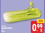 Staudensellerie im aktuellen EDEKA Prospekt
