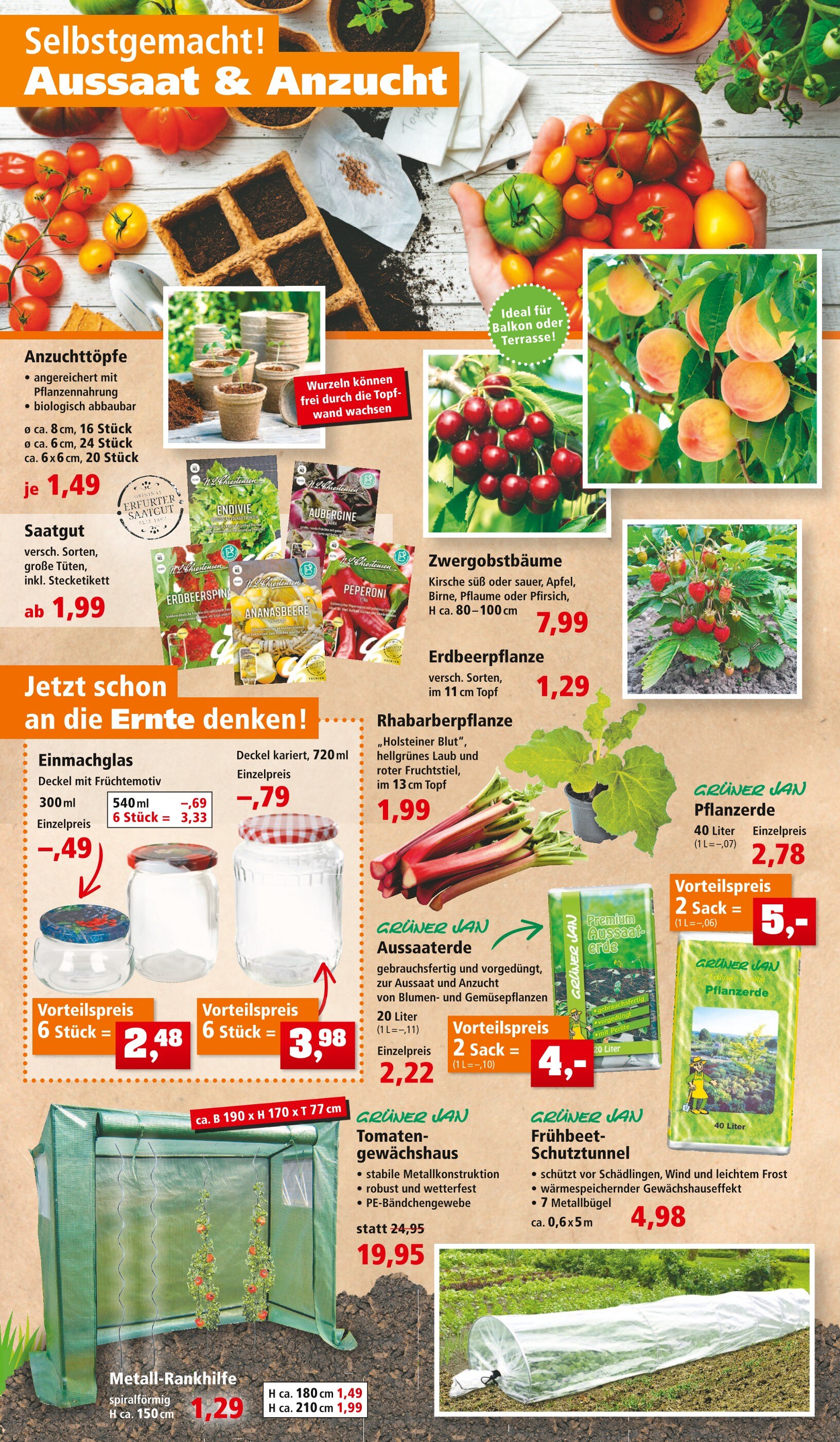 ALDI Nord Erdbeerpflanzen Angebot ᐅ Finde den Preis im aktuellen Prospekt