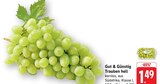 Trauben hell Angebote von Gut & Günstig bei E center Reutlingen für 1,49 €