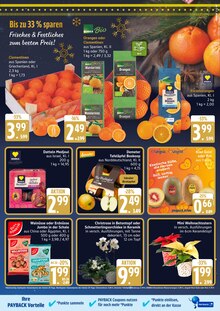 Pflanzen Angebot im aktuellen Marktkauf Prospekt auf Seite 7