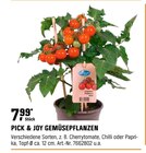 Pick & Joy Gemüsepflanzen bei OBI im Wilhelmshaven Prospekt für 7,99 €
