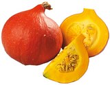 Bio Hokkaido Kürbis Angebote von REWE Bio bei REWE Aurich für 1,19 €