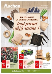 Prospectus Auchan Hypermarché à Tours "UN PEU AVANT LA SAINTE CATHERINE, tout prend déjà racine !", 4 pages, 05/11/2024 - 11/11/2024