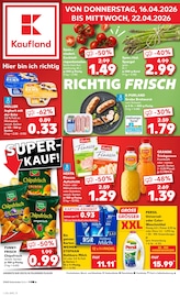 Aktueller Kaufland Supermarkt Prospekt in Holzminden und Umgebung, "Aktuelle Angebote" mit 56 Seiten, 16.04.2026 - 22.04.2026