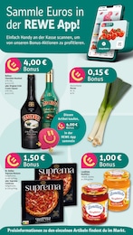 REWE Fertiggerichte im Prospekt REWE Fertiggerichte im Prospekt