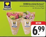 Herzstücke Hortensie Angebote von EDEKA bei EDEKA Leipzig für 6,99 €