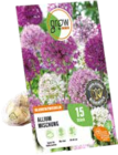 Zierlauch-Blumenzwiebel-Mischung im Angebot bei OBI in Leverkusen Zierlauch-Blumenzwiebel-Mischung Angebote von GROW by OBI bei OBI Leverkusen für 7,99 €