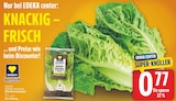 Mini Romanasalat von EDEKA Herzstücke für 0,77 € bei E center im Angebot Mini Romanasalat von EDEKA Herzstücke im aktuellen E center Prospekt