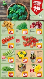 Garten im REWE Prospekt in Jena Aktueller REWE Prospekt mit Garten, "Dein Markt", Seite 7