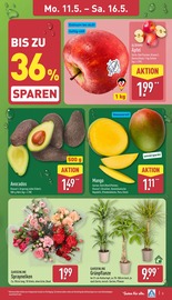 Aktueller ALDI Nord Prospekt mit Äpfel, "Aktuelle Angebote", Seite 3