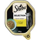 Zookauf Nienburg - SHEBA® Selection in Sauce mit Geflügelhäppchen 85 g Angebot im Prospekt SHEBA® Selection in Sauce mit Geflügelhäppchen 85 g bei Zookauf im Nienburg Prospekt für 0,55 €