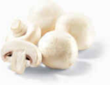 Champignons weiß im Angebot bei Netto Marken-Discount in Hamburg Champignons weiß Angebote bei Netto Marken-Discount Hamburg für 1,79 €