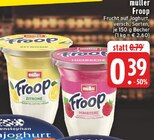 Aktuelles Froop Zitrone Angebot bei E center in Wuppertal ab 0,39 €