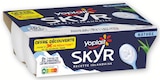 Skyr à Bi1 dans La Marre Skyr à Bi1 dans La Marre