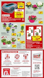 Blumenerde Angebot im aktuellen toom Baumarkt Prospekt auf Seite 2