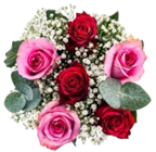 Tulpenstrauß  im aktuellen Kaufland Prospekt für 5,99 €