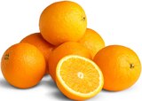 Orangen im Penny Prospekt Orangen im aktuellen Penny Prospekt für 2,29 €
