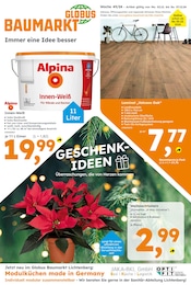 Zimmerpflanzen Angebot im aktuellen Globus-Baumarkt Prospekt auf Seite 1