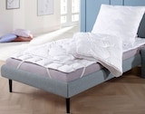 Betten-Set Angebote von fan bei Penny Lahr für 24,99 €