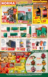 Prospectus Discount Alimentaire de Norma à Carling: "Votre Discounter Régional", 14 pages, 08/10/2025 - 14/10/2025