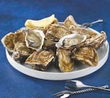 HUITRES MARENNES OLERON FINES DE CLAIRES IGP - U en promo chez Super U Fréjus à 8,91 €