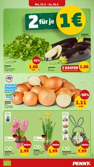 Blumen im Penny Prospekt "Wer günstig will, muss Penny." mit 42 Seiten (Augsburg)