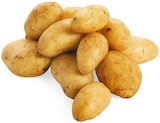 Speisekartoffeln im Angebot bei REWE in Sankt Augustin Speisekartoffeln Angebote bei REWE Sankt Augustin für 1,99 €